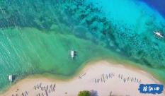 修真文明是否存在 天地灵气也许是这样来的 山海异兽是这样消失的